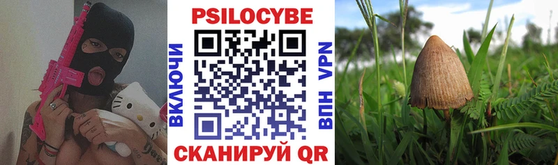 Купить  Архангельск  Псилоцибиновые грибы мицелий 